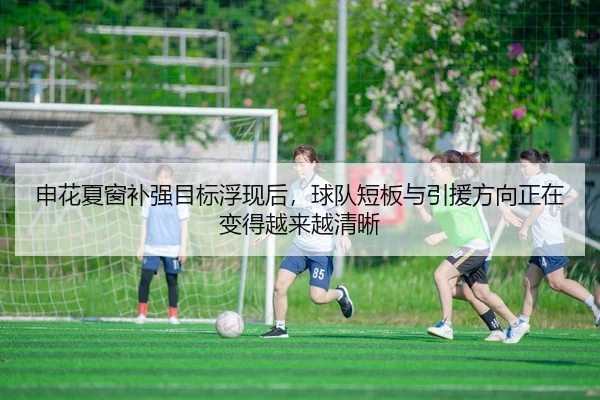 申花夏窗补强目标浮现后，球队短板与引援方向正在变得越来越清晰